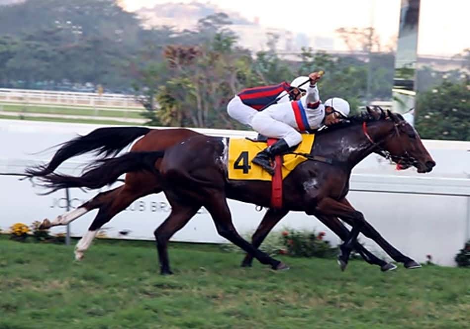 Atropelada sensacional de Lady Charlotte para vencer o GP Adayr Eiras de Araújo