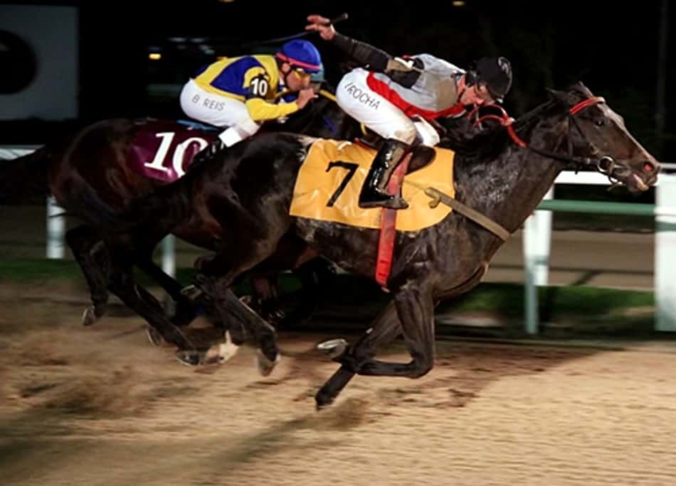 Nove provas no Hipódromo da Gávea