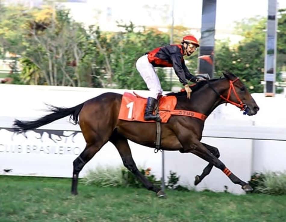 Demon Master, coragem e coração de campeão