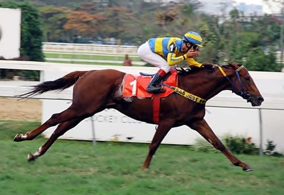 Cosmopolitan atropela forte para levar o GP Presidente Vargas (G3)