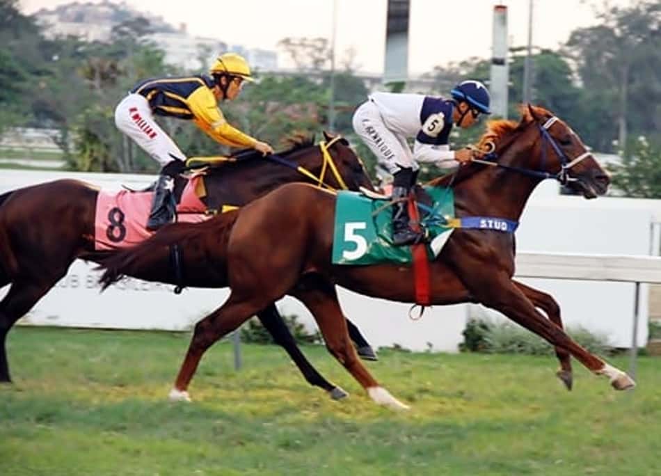 Nove carreiras movimentam o Hipódromo da Gávea