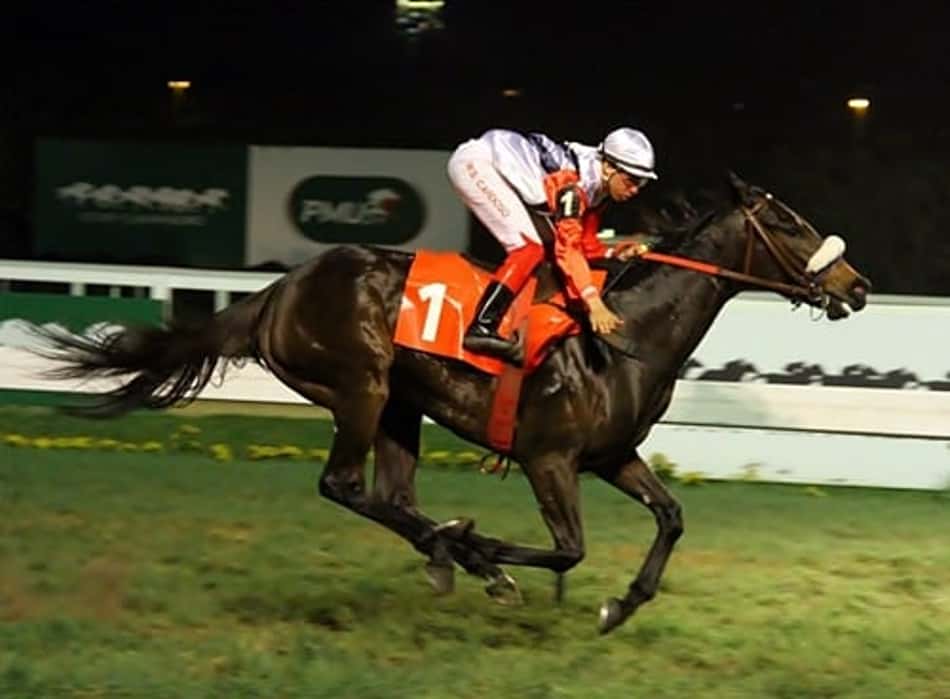 Onze carreiras no Hipódromo da Gávea