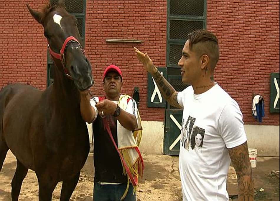 Cavalo de Paolo Guerrero corre sábado em São Paulo