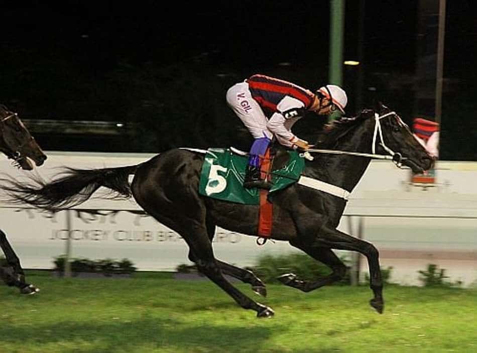 Clássico e Prova Especial na Gávea