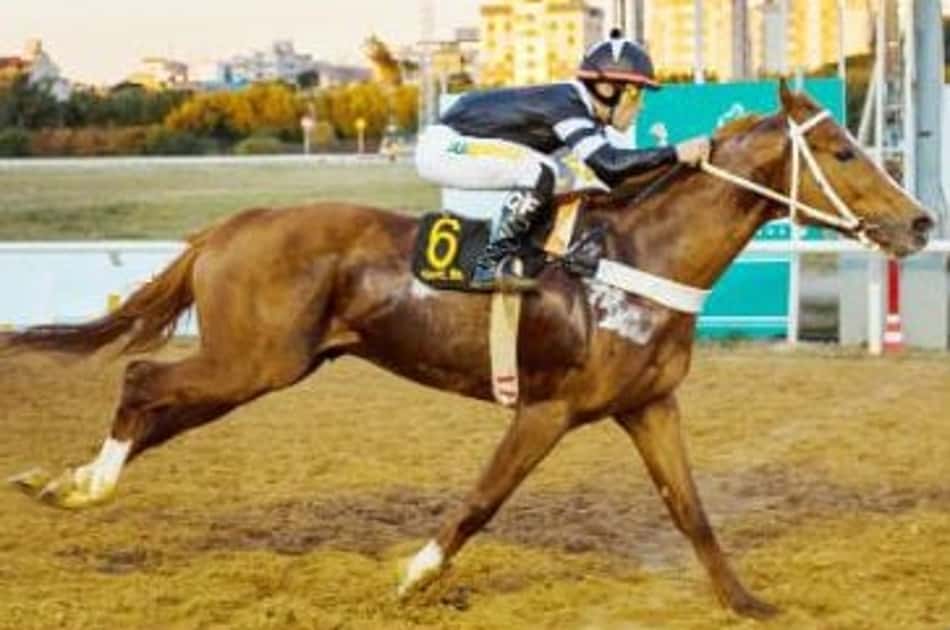 Cristal: Samurai é a força na melhor prova