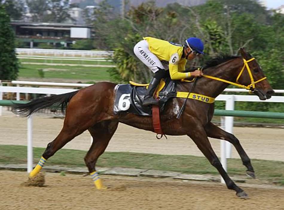 Sábado com 11 provas no Hipódromo da Gávea