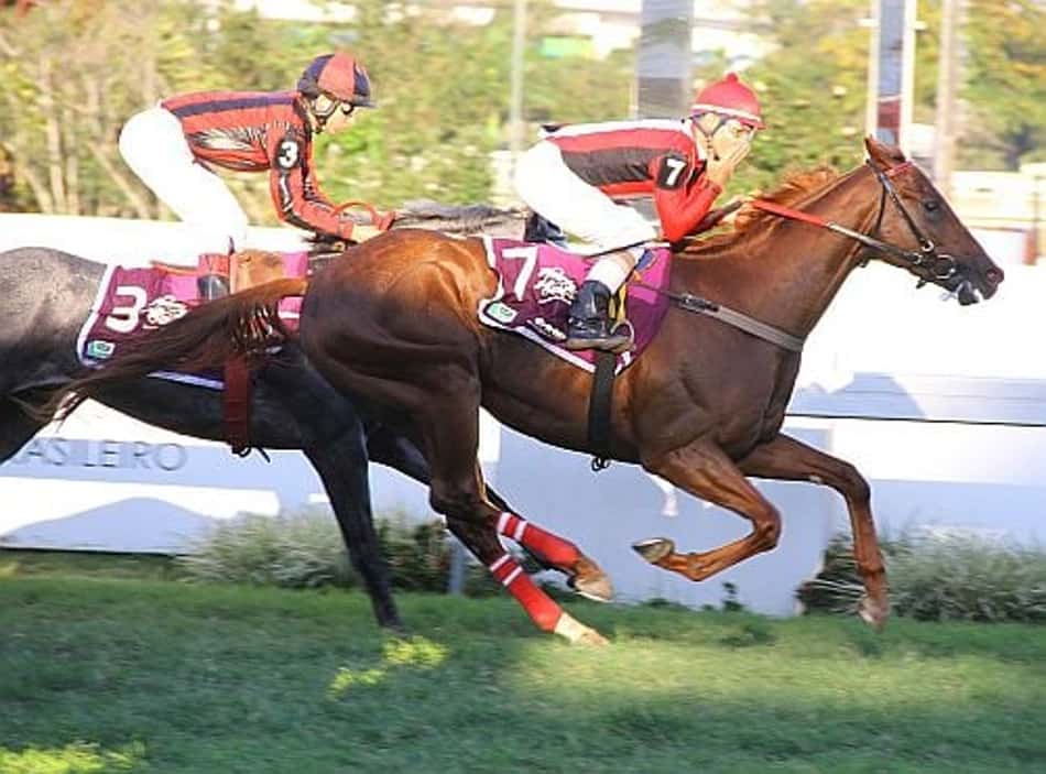 Vitória de Enólogo no GP José Buarque de Macedo – Copa das Nações (G3)