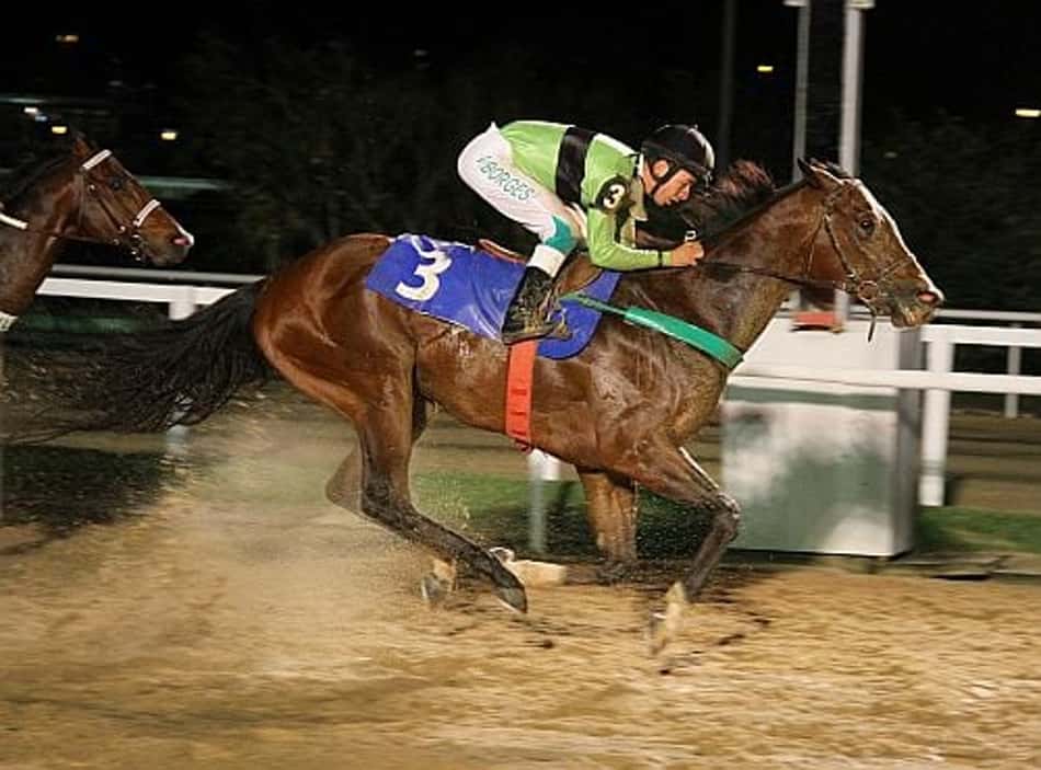 Tinindo, Sulamericano vence a P.E. Pico Central