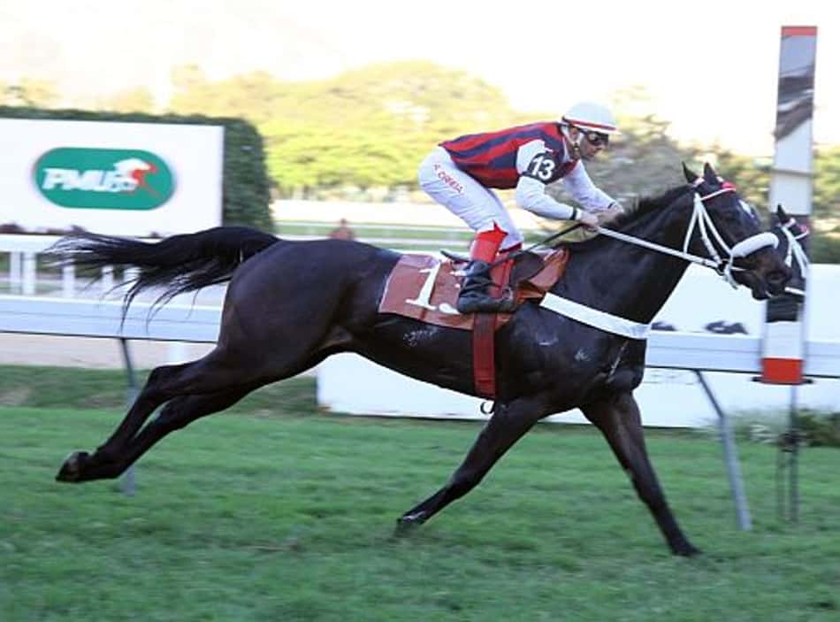 Fantasie Gamp confirma evolução com êxito na P.E. Garbosa Bruleur