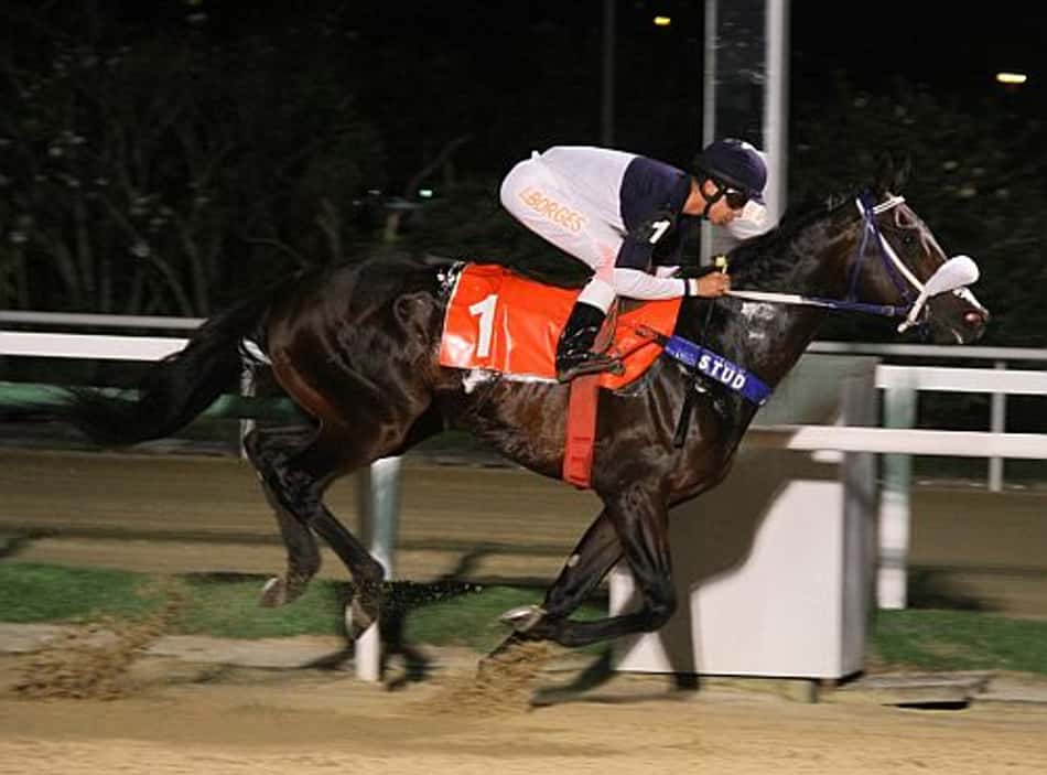 Carrocel Encantado, um vareio na P.E. Gloria de Campeão