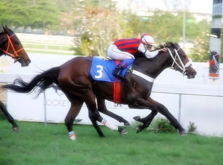 Escaramuza vence G3 e segue invicta