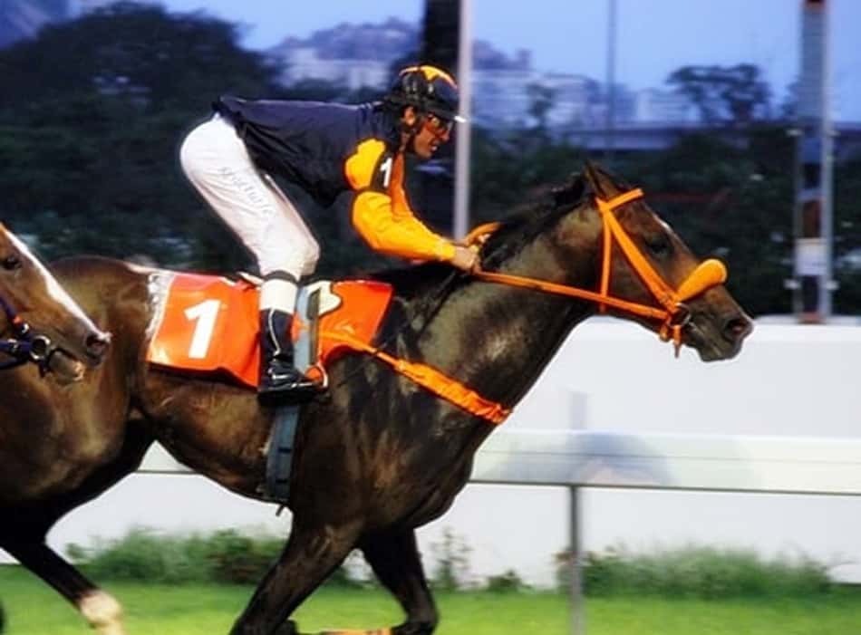 Gávea tem domingo com Festival da Independência