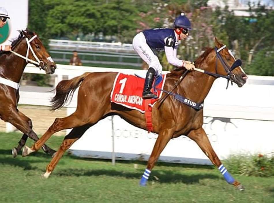 Em ótima marca, Consul American leva o GP Roberto Gabizo e Adhemar de Faria (G3)