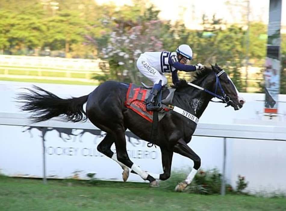 Fidedigno, bicampeão do GP João José e José Carlos de Figueiredo (G3)
