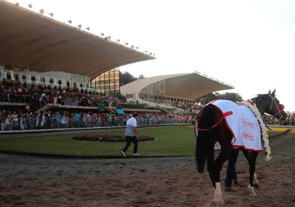 Tarumã fará simulcasting com a Gávea