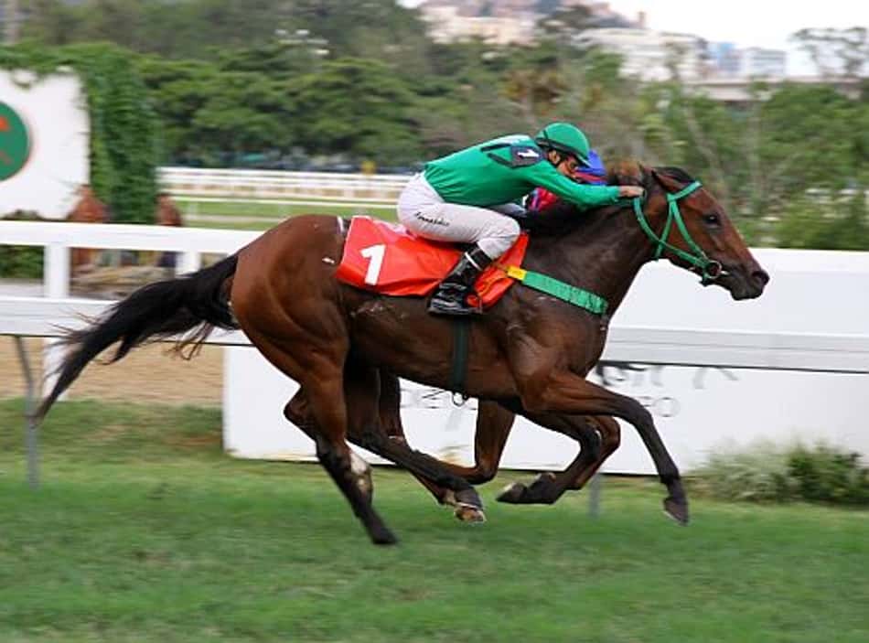 Copas Leilões em destaque na Gávea