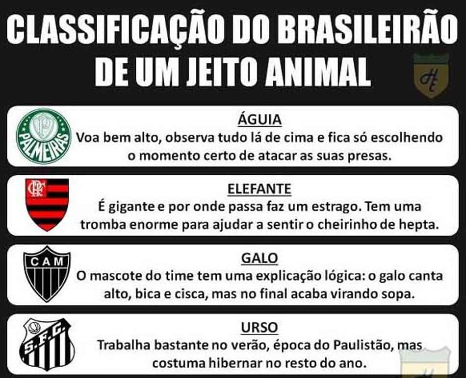 Humor Esportivo! E se a classificação do Brasileirão fosse representada por animais?