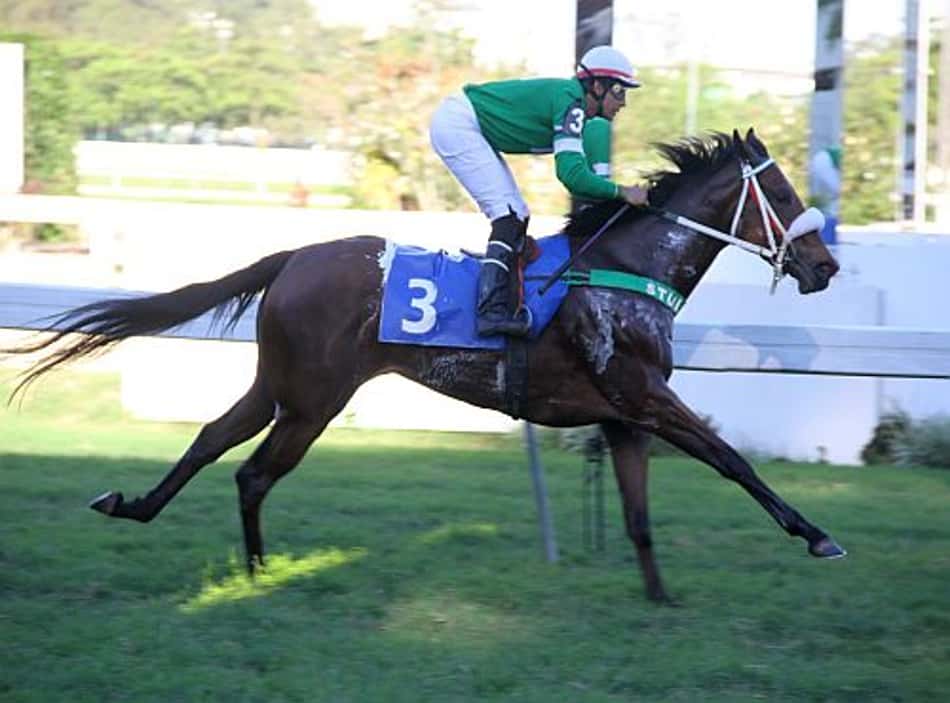 Prova Especial em destaque na Gávea