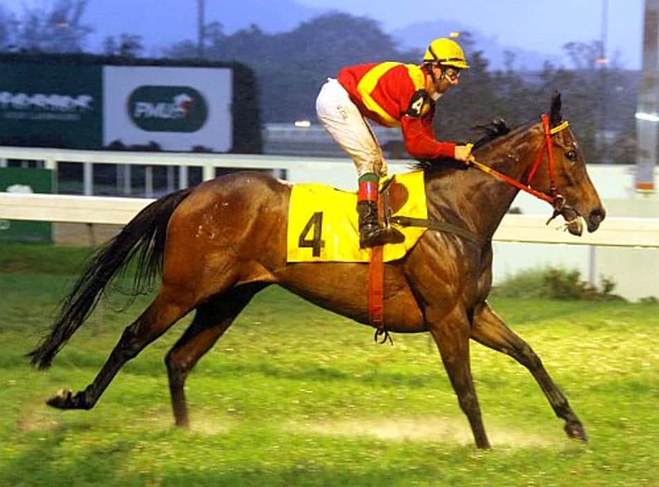 Golden Crown derrota as mais novas na P.E. Bucarest