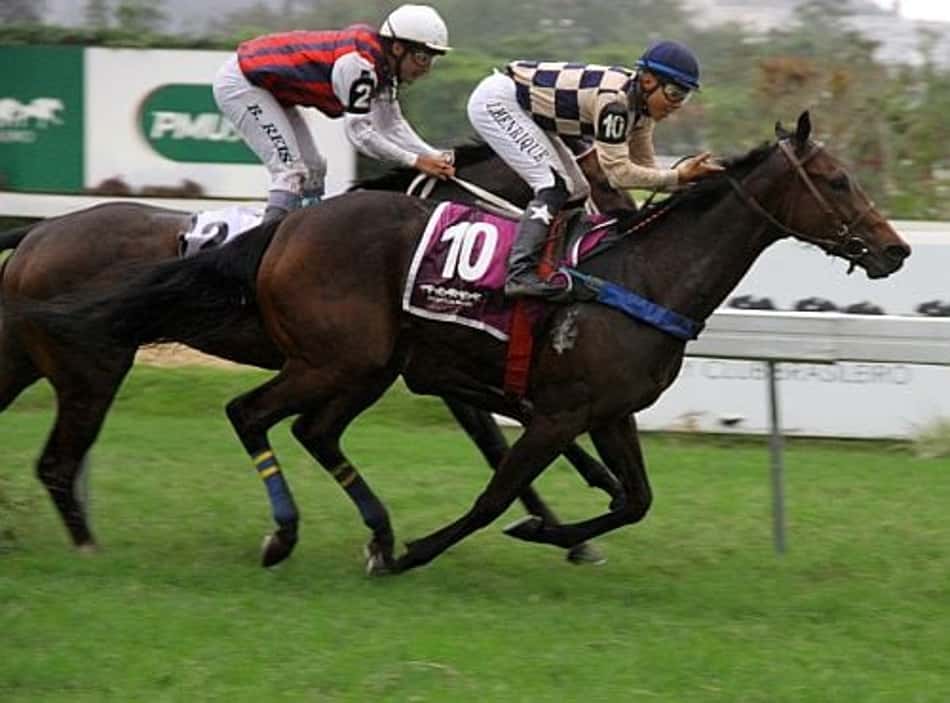 Invicta, Inteligência Pura vence o Clássico Octavio Dupont (L.)