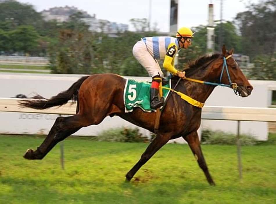 Voador Magee mostra classe em seu batismo nobre