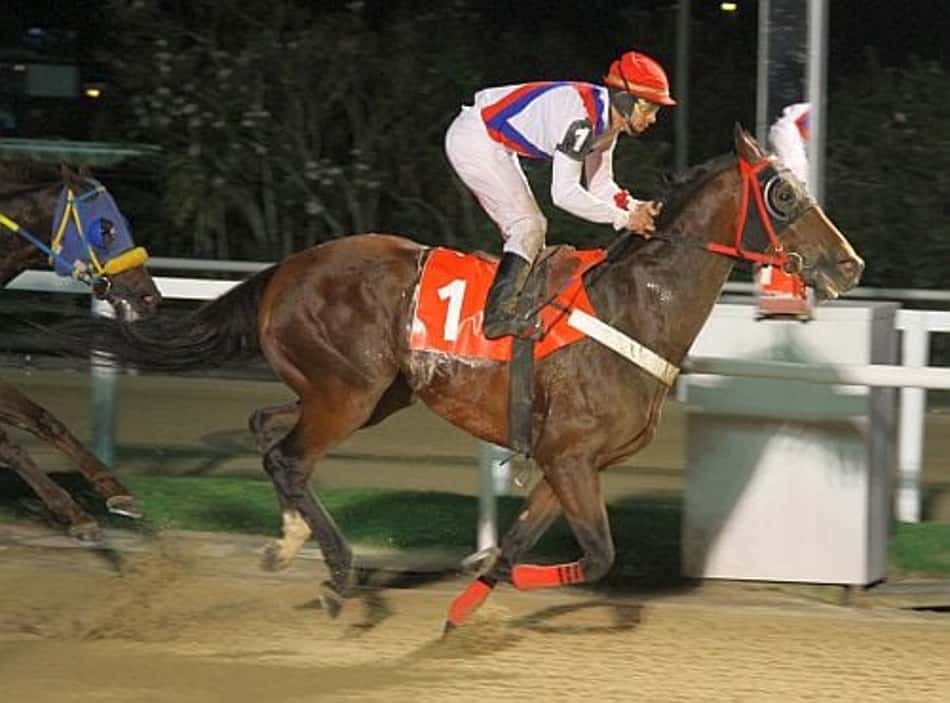 Dez páreos movimentam o Hipódromo da Gávea