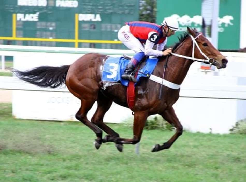 GP Costa Ferraz (G3) reúne velocistas na Gávea