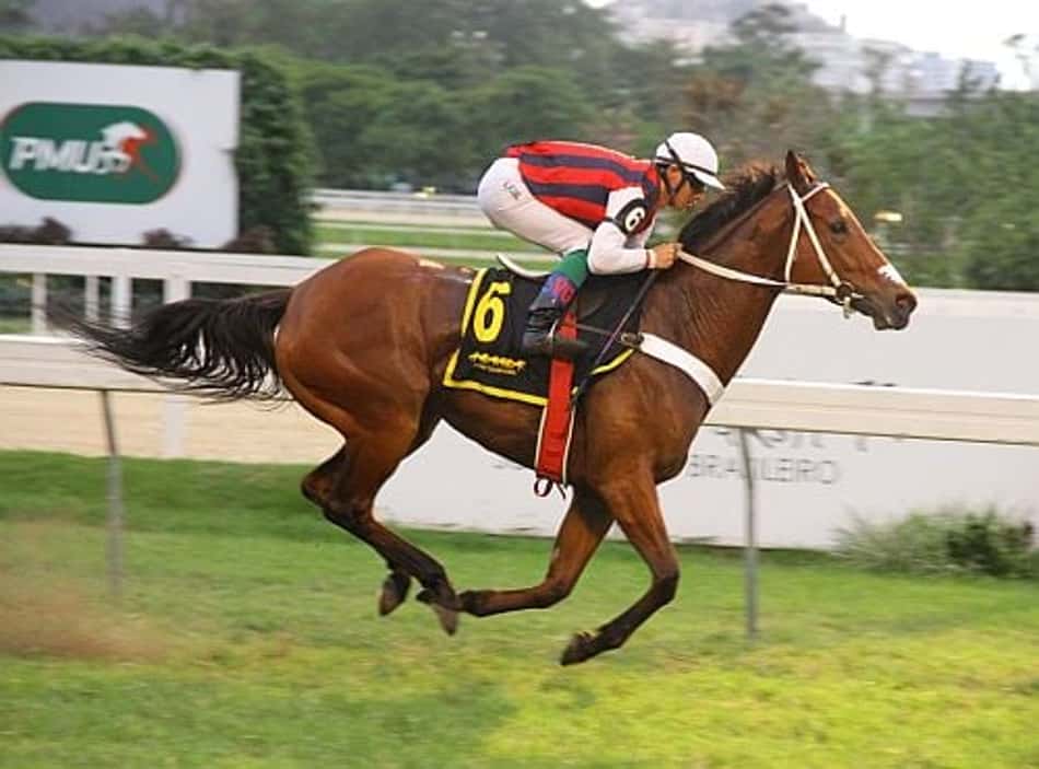 Em ótima marca, Double Talk vence e convence no GP Costa Ferraz (G3)