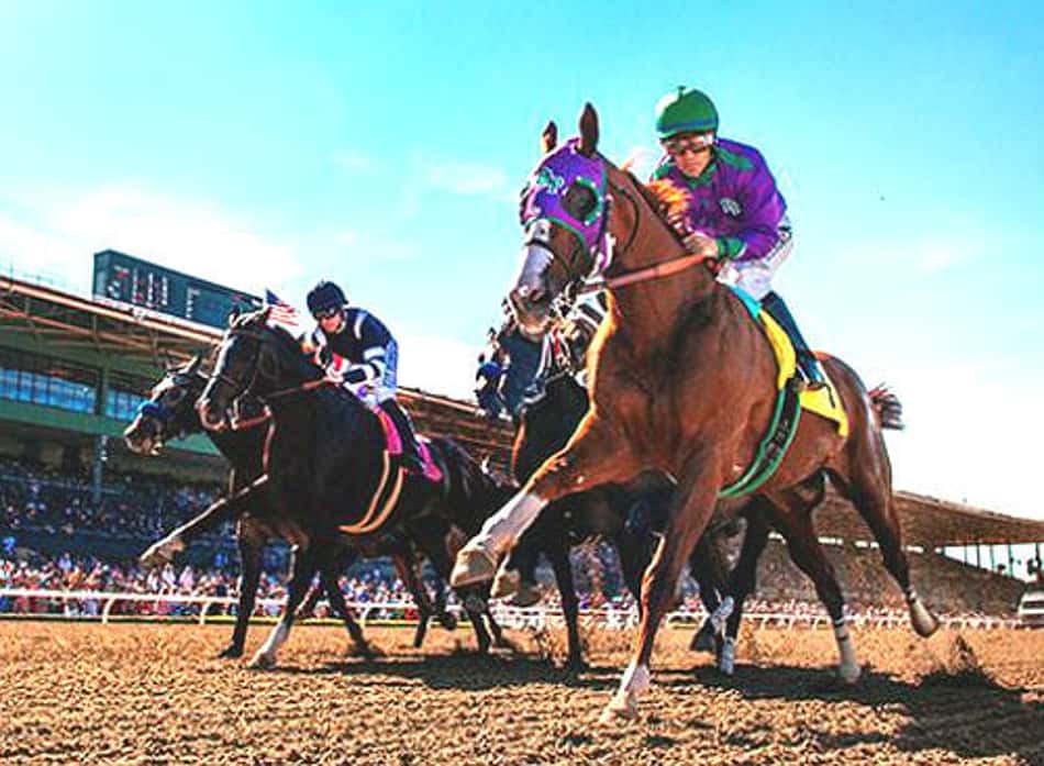 Breeder's Cup, a Copa do Mundo do turfe, terá apostas abertas