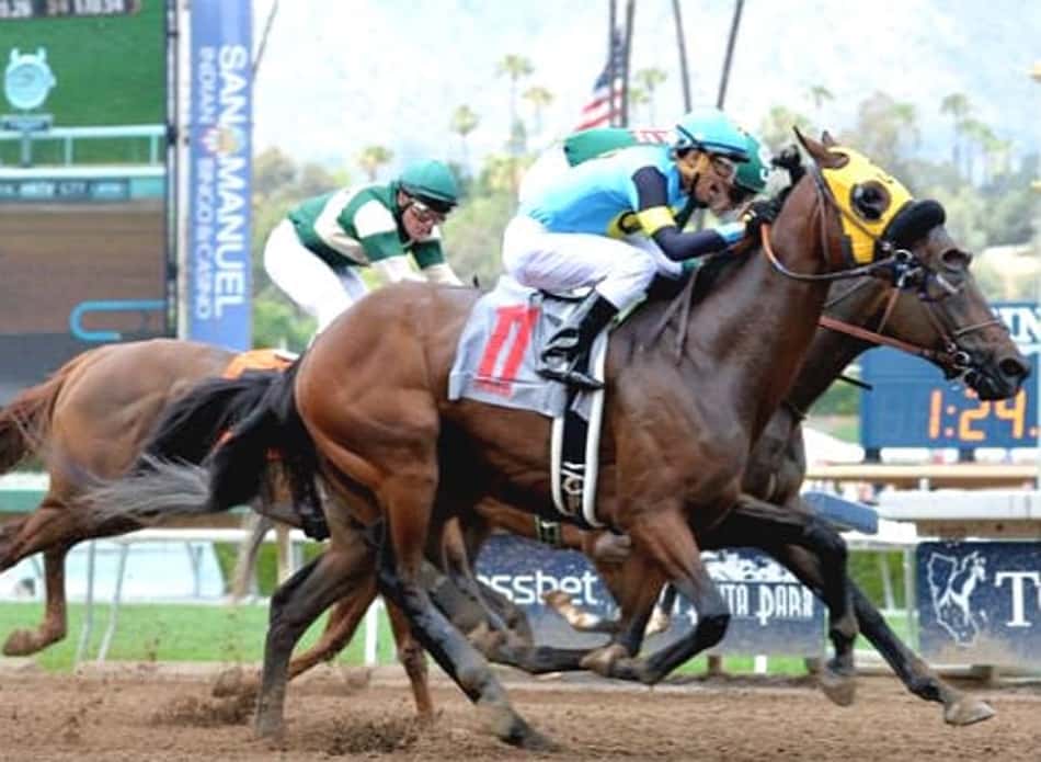 Bolada de R$ 280 mil e Breeder's Cup embalam as carreiras