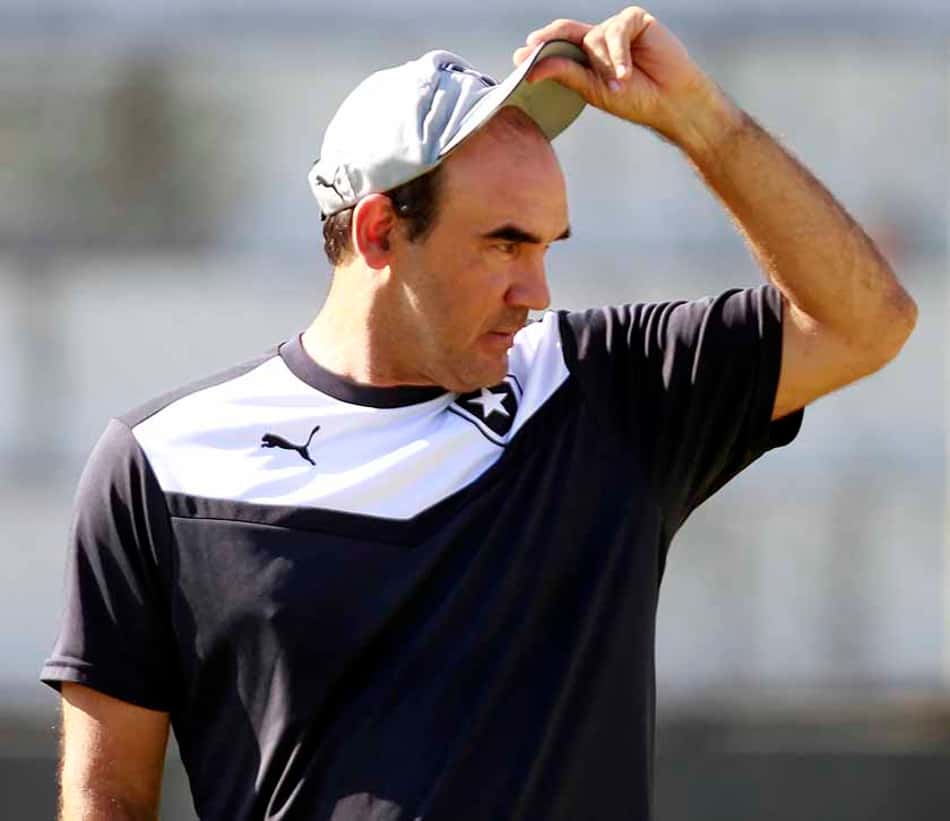 tecnicos serie b, Ricardo Gomes, Botafogo 2015