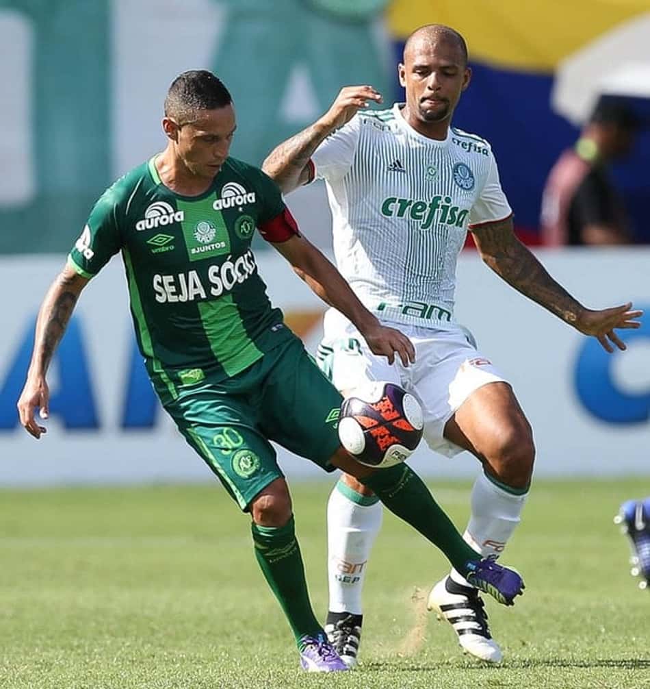 Mesmo com time alternativo, Palmeiras surge como favorito nas casas de apostas