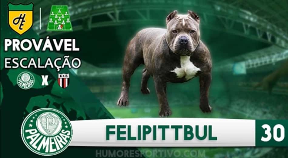 Escalação Mil Grau – Palmeiras x Botafogo-SP