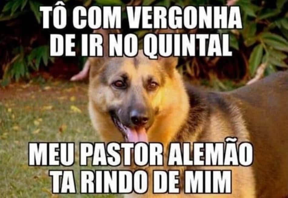 Vai ter volta? Relembre os melhores memes do fatídico 7 a 1