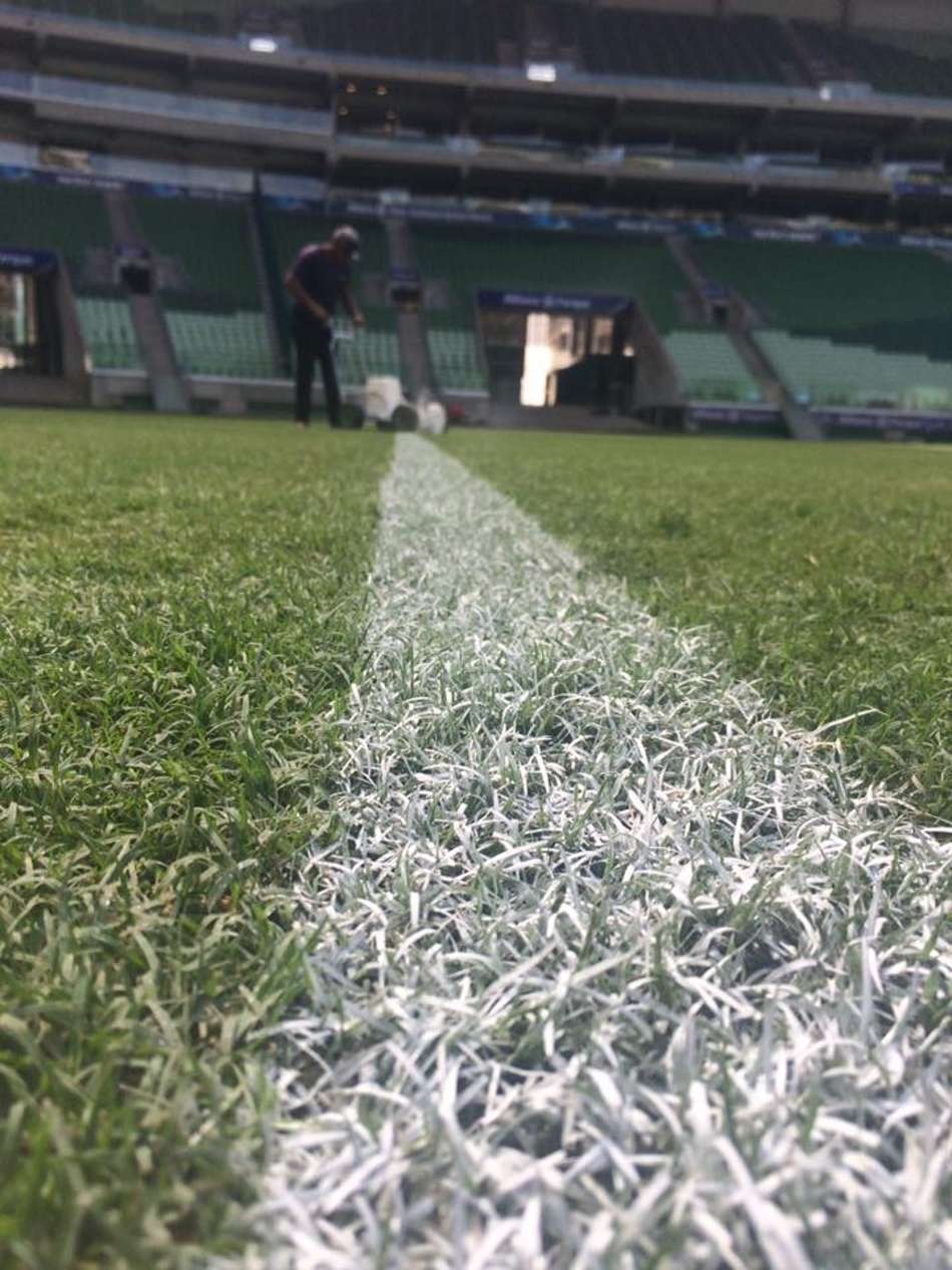 Linhas do gramado já foram pintadas (Foto: Divulgação)