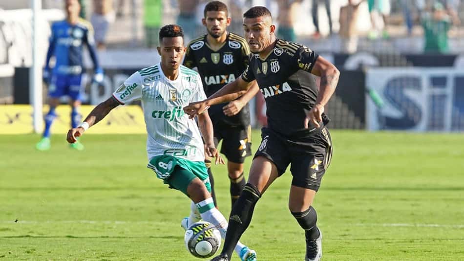 Classificação do Palmeiras poderá render grana alta nas casas de apostas
