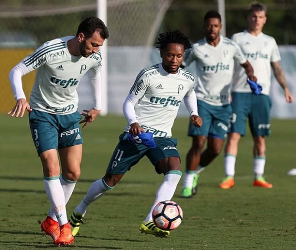 Treino do Palmeiras nesta segunda (24)