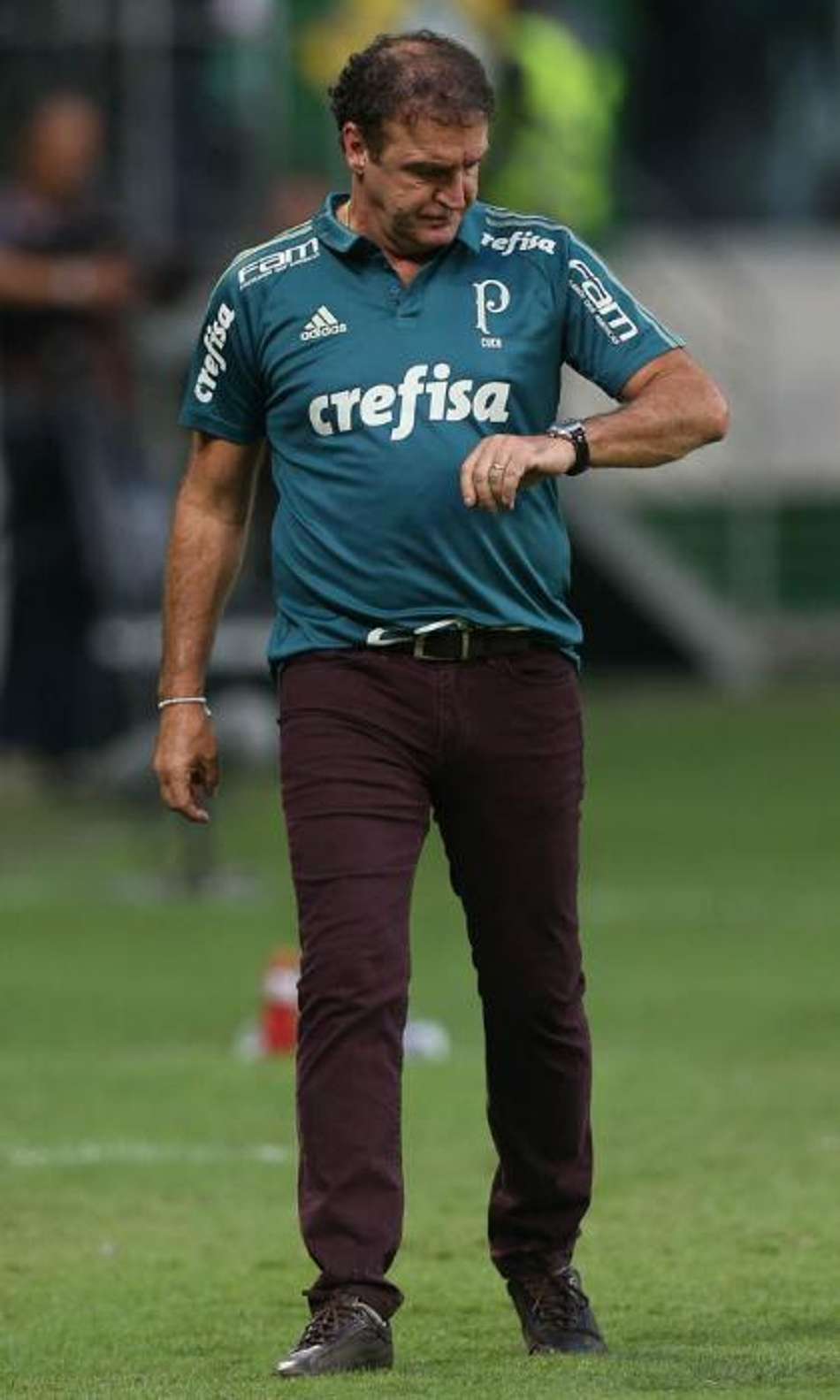 Cuca e a calça vinho no Allianz Parque