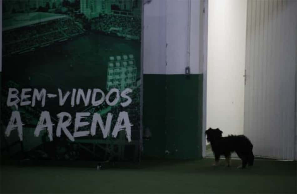 Mandatário da Chape relembra comoção que gerou WO duplo contra Galo, e diz: 'Agora, história é outra'