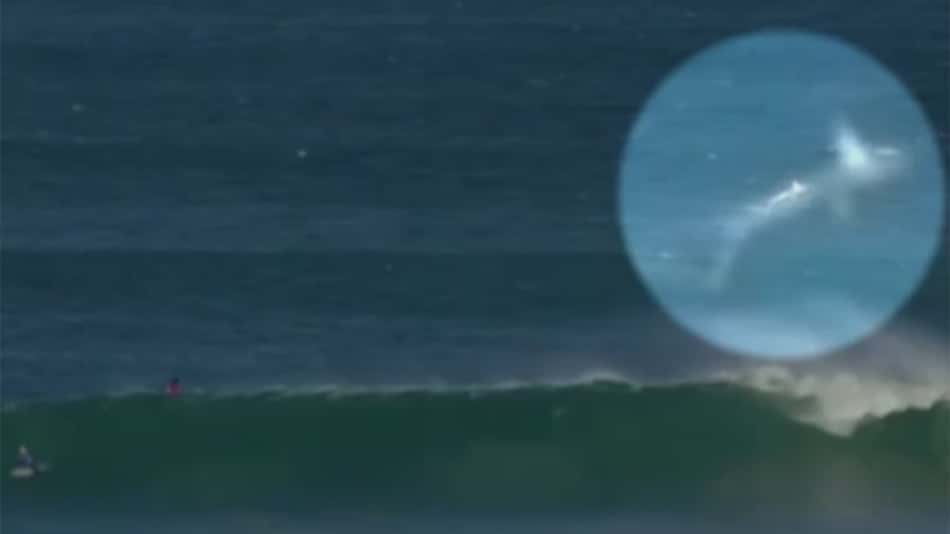 Tubarões paralisam bateria de Filipe Toledo na etapa de Jeffreys Bay