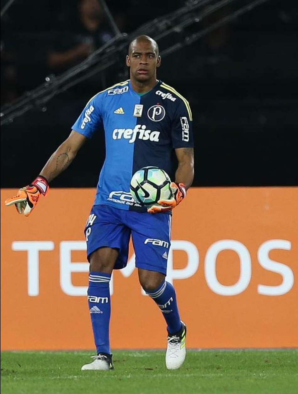 23º jogo invicto - Botafogo 1x2 Palmeiras: são 17 vitórias e seis empates de Jailson em campo pelo Verdão no Campeonato Brasileiro (recordista na história do clube)