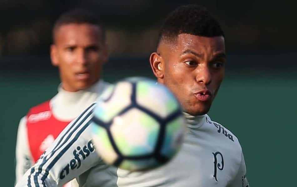 Borja - Palmeiras