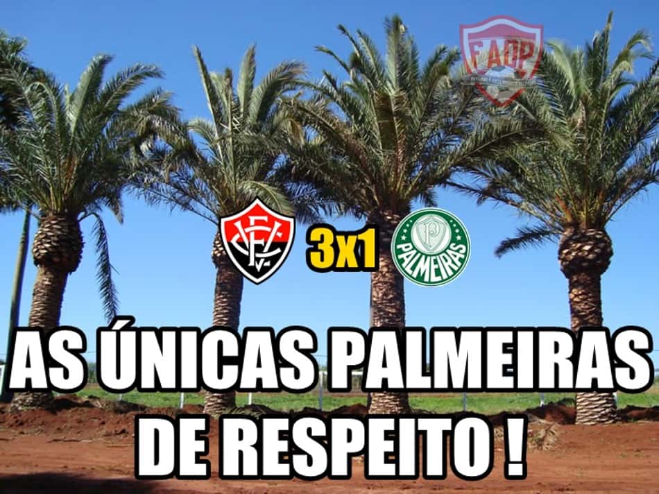 Os melhores memes da 33ª rodada do Brasileirão