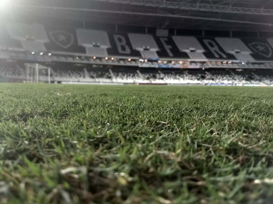 Torcedor do Botafogo tenta imitar CR7, mas cai de cara no gramado
