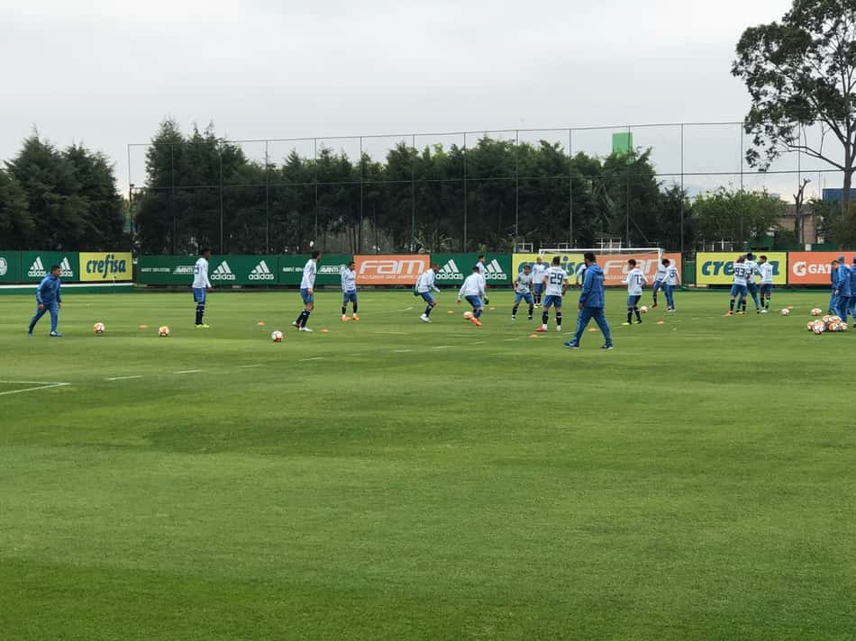Após empate no Sul, Palmeiras inicia preparação para jogo contra o Cerro