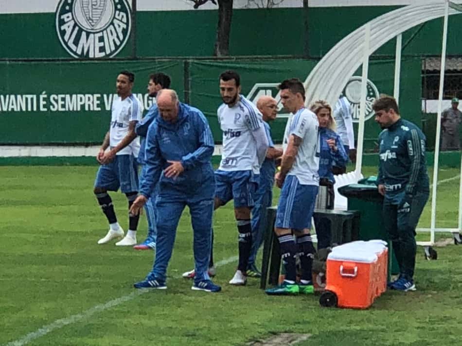 Treino do Palmeiras