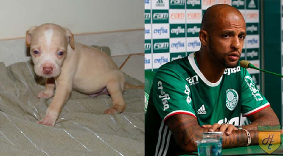 Desafio da Puberdade: o antes e depois dos jogadores