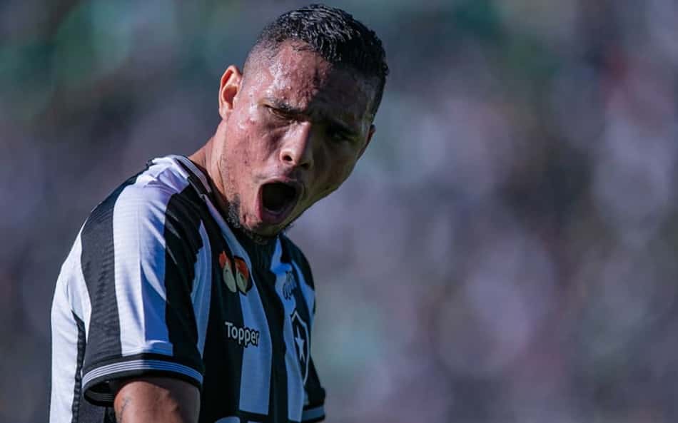 Botafogo vence a Chapecoense e dá passo gigante contra o rebaixamento