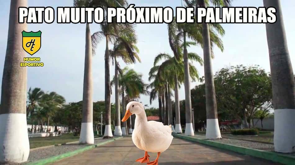 Chapéu e otimismo: veja memes da contratação de Pato pelo São Paulo