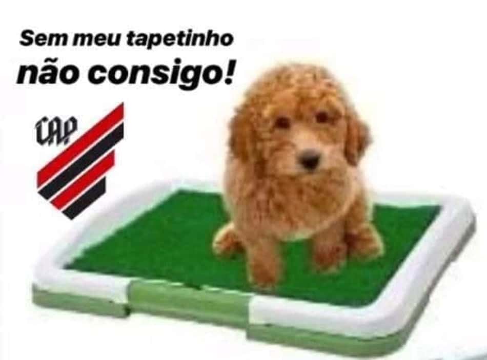 Veja memes da derrota do Athletico na Recopa Sul-Americana